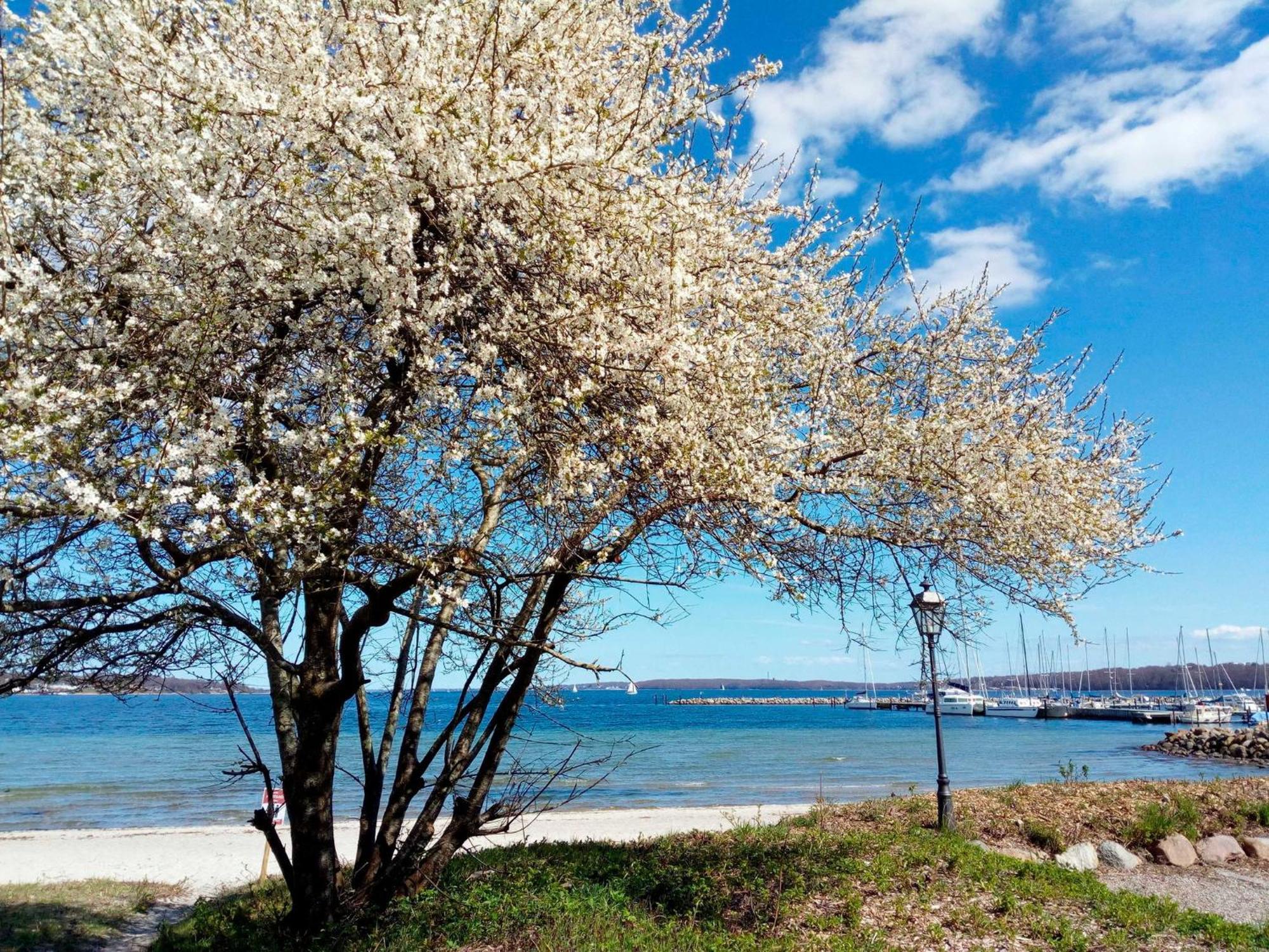 Appartement Foerdeblick Am Strand Von Wassersleben App 631 哈里斯莱 外观 照片